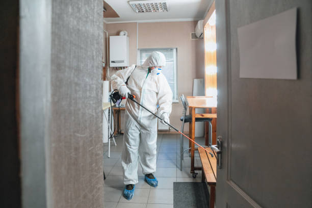 Best Comprehensive Air Testing for Mold Contaminants  in Ridgeland, MS